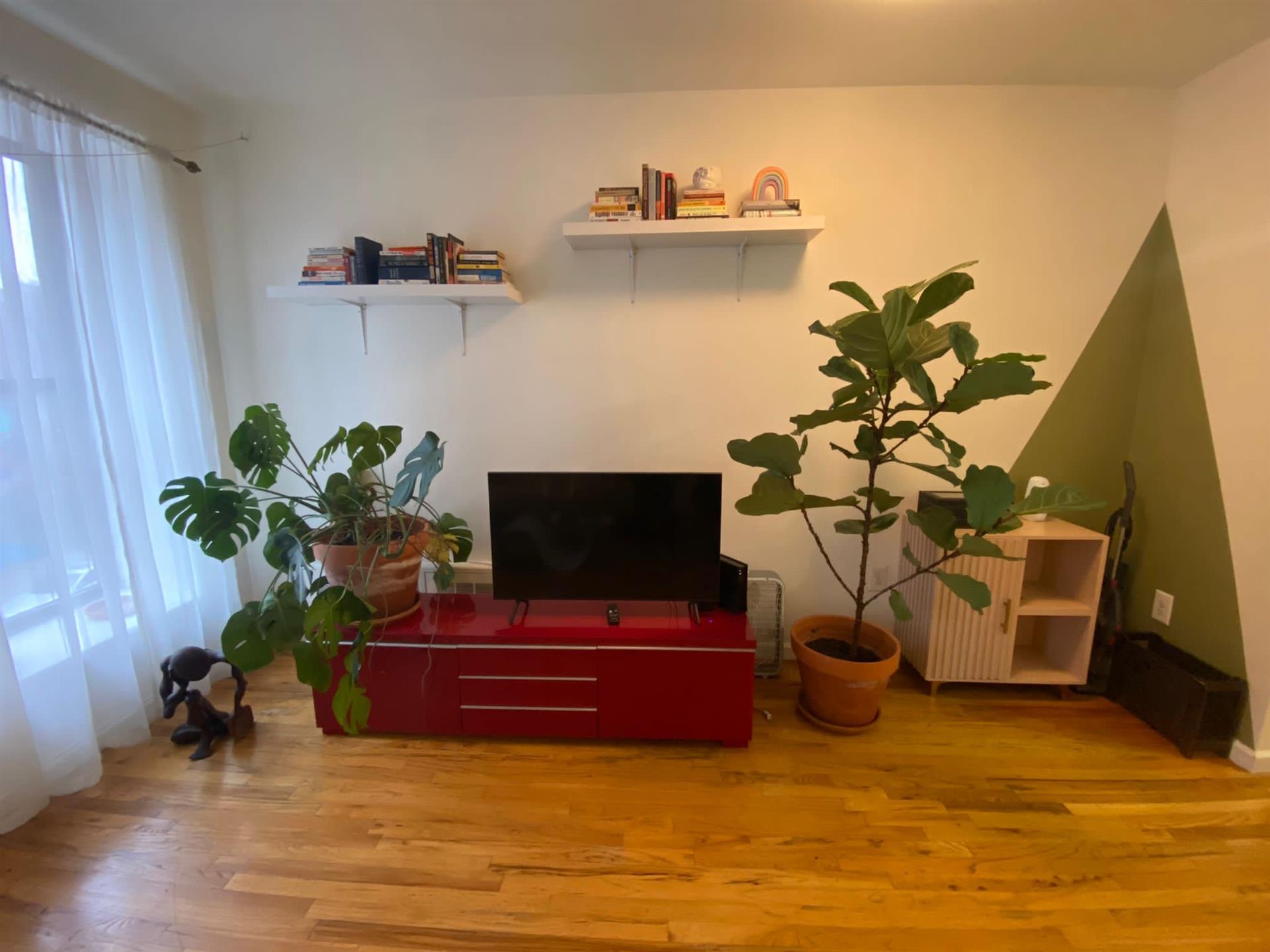Lex 3 Living area with plants